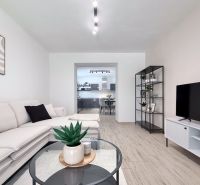 Wohnzimmer in einer Zweizimmerwohnung mit Holzboden, Sofa und Fernseher.
