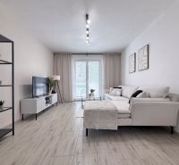 Wohnzimmer in einer 2-Zimmer-Wohnung mit Sofa, Fernseher und Holzboden.