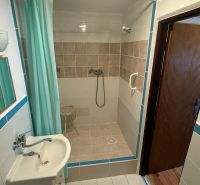 Badezimmer mit offener Dusche und Waschbecken in einem Einfamilienhaus.