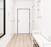 Ein Flur mit weißen Möbeln und einem Boden in Holzoptik in einer 2-Zimmer-Wohnung.