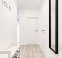 Flur in einer 2-Zimmer-Wohnung mit Holzboden, Spiegel und Garderobe.