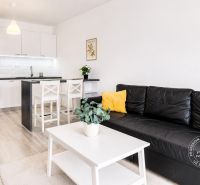 Wohnzimmer einer Zweizimmerwohnung mit Kochnische und Holzboden.