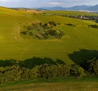 Grüne Wiesen und Bäume mit Blick auf das Dorf in Liptovský Trnovec, besondere Immobilien.