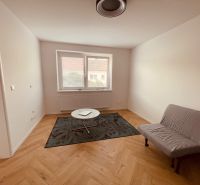 Helles Zimmer in einer 4-Zimmer-Wohnung mit Sofa, Teppich und Holzboden.