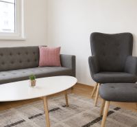 Wohnzimmer mit einem bequemen Sofa und einem Sessel in einer 2-Zimmer-Wohnung.