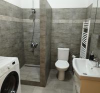 Kúpeľňa v 1-izbovom byte s práčkou, sprchovacím kútom a toaletou.

Badezimmer in einer Einzimmerwohnung mit Waschmaschine, Dusche und Toilette.