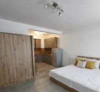 Schlafzimmer in einer Einzimmerwohnung mit Küche, Holzboden, graue Möbel.