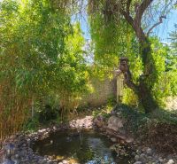 Garten mit Teich und Bäumen in einem Einfamilienhaus in Mankovce.