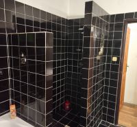 Ein Badezimmer in einem Einfamilienhaus mit schwarzen Fliesen und einer Duschkabine.