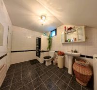 Badezimmer mit Fliesen, Waschbecken, Spiegel und WC in einem Einfamilienhaus.