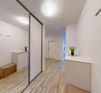 Flur einer 3-Zimmer-Wohnung mit Schrank und Boden in Holzoptik.