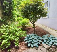 Ein Garten neben einem Gebäude mit grünen Pflanzen und einem Pflasterweg.
