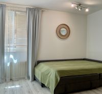 Ein Zimmer in einer Einzimmerwohnung mit einem Bett, Vorhängen und einem Boden in Holzoptik.
