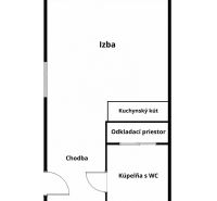 Grundriss einer Einzimmerwohnung mit einem Zimmer, einer Kochnische und einem Badezimmer mit WC.