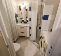Badezimmer in einer Einzimmerwohnung mit Waschmaschine, Duschkabine und Waschbecken.