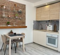 Küchenecke mit einer Ziegelwand und einem Boden in Holzoptik in einer Einzimmerwohnung.