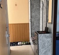 Ein schmaler Flur mit einem Holzboden-Dekor und praktischem Stauraum.