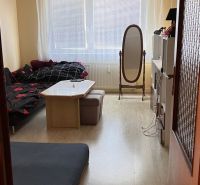 Wohnzimmer in einer 2-Zimmer-Wohnung mit Holzboden und Möbeln.