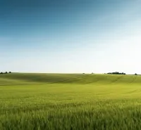 Grüne Felder und sanfte Hügel in den landwirtschaftlichen und forstwirtschaftlichen Gebieten bei Medzany.