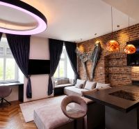 Stilvolle 2-Zimmer-Wohnung mit Ziegelwand, Holzboden und moderner Beleuchtung.