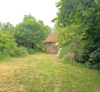 Garten bei einem Einfamilienhaus in Nové Zámky mit Rasen und reicher Vegetation.