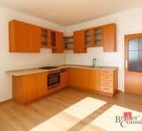 Küche in einer 2-Zimmer-Wohnung mit Holzschränken und einem Boden in Holzoptik.