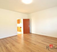 Ein geräumiges Zimmer in einer 2-Zimmer-Wohnung mit einem Boden in Holzoptik und offenen Türen.