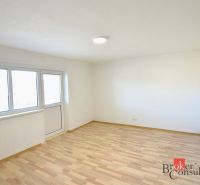 Ein helles Zimmer in einer 2-Zimmer-Wohnung mit Holzboden und großen Fenstern.