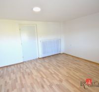 Ein Zimmer mit weißen Wänden und einem Boden in Holzoptik in einer Zweizimmerwohnung.