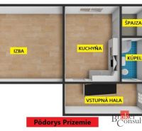 Grundriss einer 2-Zimmer-Wohnung mit Holzboden, umfasst ein Zimmer, eine Küche und ein Badezimmer.