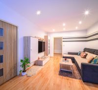 Wohnzimmer in einer 2-Zimmer-Wohnung mit Sofa und Holzboden.
