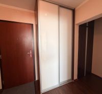 Eingangsbereich in einer 3-Zimmer-Wohnung mit einem weißen Kleiderschrank und einem Boden in Holzoptik.