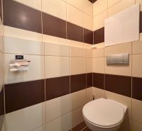 Toilette in einer 3-Zimmer-Wohnung mit braun-weißen Fliesen.