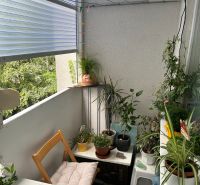 Ein Stillleben eines Balkons einer 3-Zimmer-Wohnung mit Pflanzen und einem Holzstuhl.