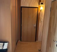 Flur in einer 3-Zimmer-Wohnung mit Holzboden und einer Wandleuchte.