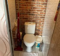 Badezimmer in einer 3-Zimmer-Wohnung mit Toilette, Ziegelmuster und Reinigungsmitteln.