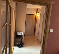 Flur in einer 3-Zimmer-Wohnung mit einem Boden in Holzoptik.