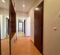 Flur einer 4-Zimmer-Wohnung mit Fliesen, im Hintergrund ein Boden mit Holzdekor.