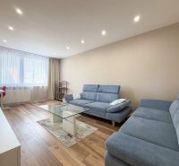 Wohnzimmer in einer 2-Zimmer-Wohnung mit einem blauen Sofa, einem Glastisch und einem Boden in Holzoptik.