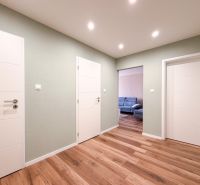 Der Flur in einer 2-Zimmer-Wohnung mit einem Boden in Holzoptik und weißen Türen.