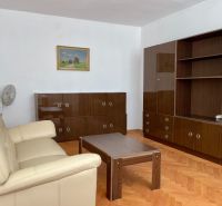 Wohnzimmer in einer 2-Zimmer-Wohnung mit Holzboden, Sofa und Schränken.