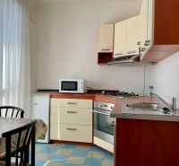 Küche in einer 2-Zimmer-Wohnung mit Mikrowelle, Herd und Esstisch.