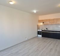 Küche in einer 2-Zimmer-Wohnung mit Holzboden und Küchenzeile.