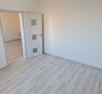 Ein Zimmer mit einem Boden in Holzoptik und weißen Türen in einer Zweizimmerwohnung.