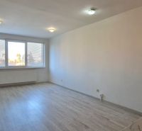 Helles Zimmer mit Holzboden in einer 2-Zimmer-Wohnung, großes Fenster.