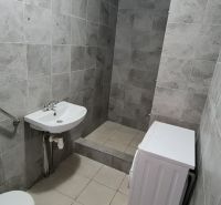 Badezimmer mit Fliesen, Waschbecken, WC und Waschmaschine in einer 2-Zimmer-Wohnung.