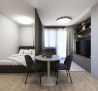 Interieur einer 3-Zimmer-Wohnung mit Bett, Esstisch und Fernseher.