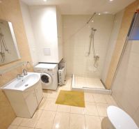 Badezimmer in der Hütte mit Waschmaschine, Duschkabine und Boden mit Holzdekor.
