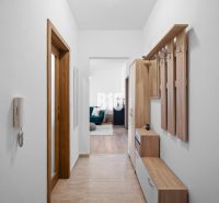 Der Flur in der 2-Zimmer-Wohnung mit Möbeln und Zugang zum Wohnbereich.