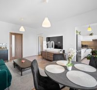 Wohnzimmer in einer Zweizimmerwohnung mit Holzboden und Esstisch.